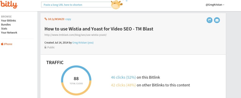 Wistia and Yoast TM Blast 