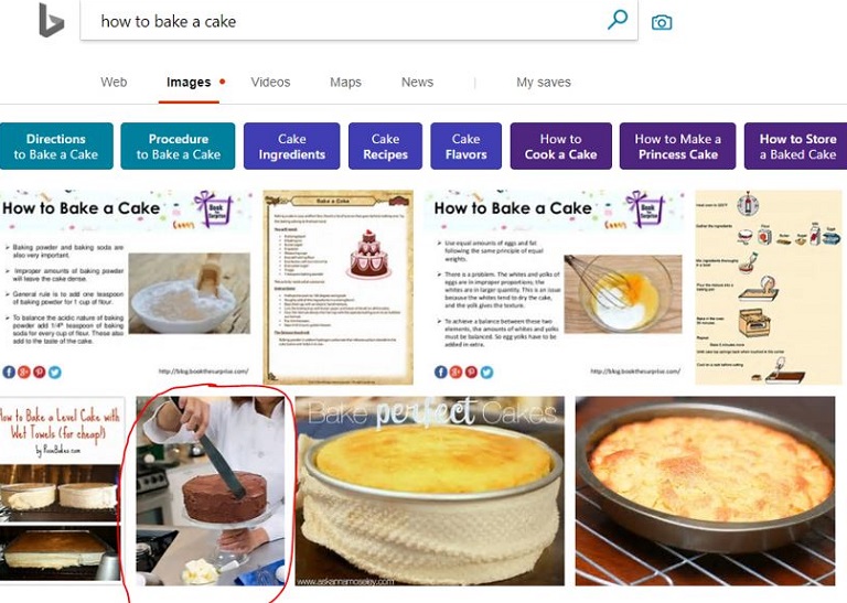 Image Search Example in Bing looking for a Good ALT Tag