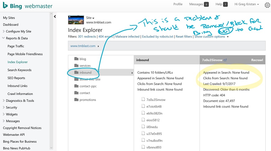 Using the Index Explorer in Bing Webmaster Tools